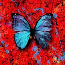 https___images.genius.com_b60db2b0b3dc78bc96fa2987ceaf12fc.1000x1000x1
