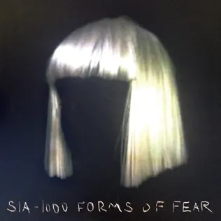 Sia-Eye-of-the-Needle-1.jpg